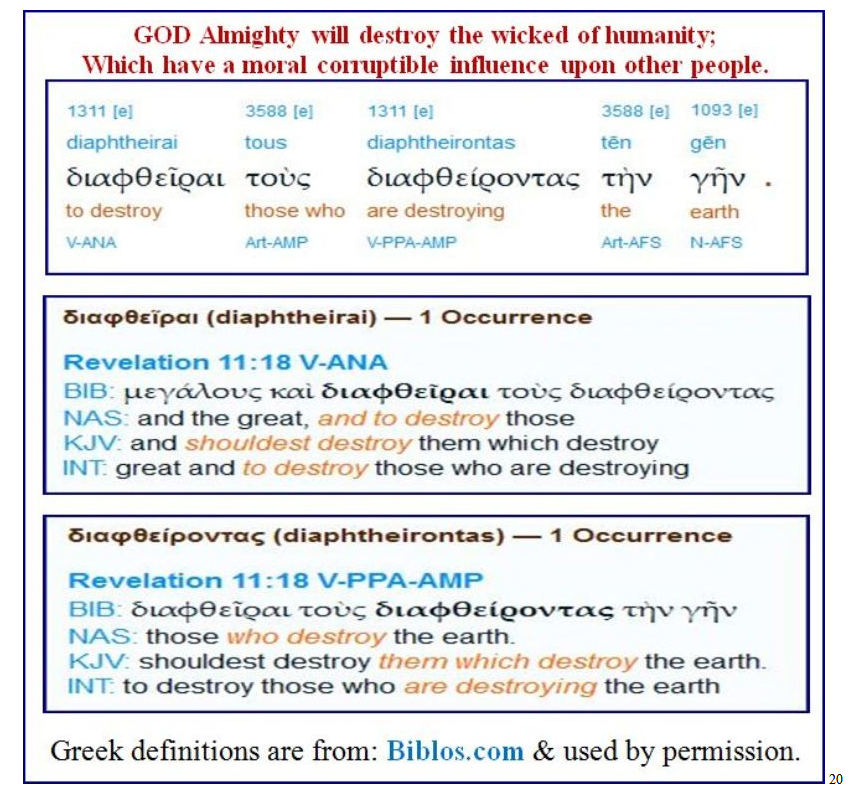 www.Tribulation101.com